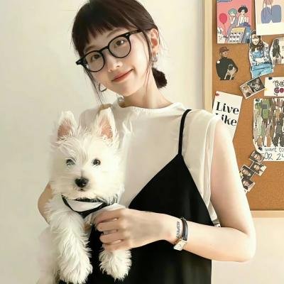 狄仁杰之九层妖楼